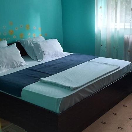 Apartament Apartament Gara Mica Arad Zewnętrze zdjęcie